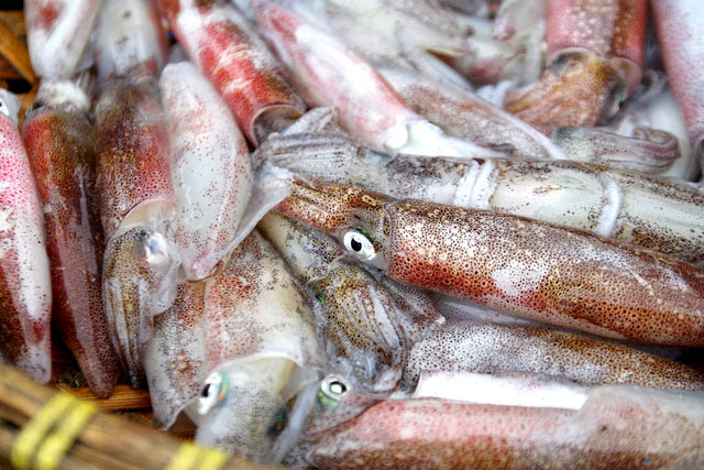 Mực là loại hải sản có giá trị kinh tế cao được ngư dân Nghi Hải tập trung đánh bắt