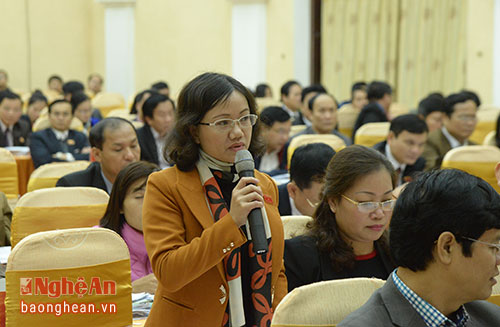 Đại biểu Thái Thị An Chung (Tân Kỳ) góp ý bổ sung vò Nghị quyết đầu tư trung hạn, giai đoạn 2017 - 2020