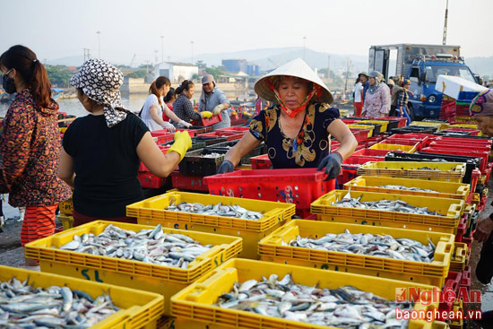Chợ cá cũng tấp nập ngay từ sáng sớm