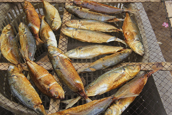 Xông cá bằng bã mía - Nét độc đáo trong cách chế biến của người dân làng  chài Nghi Thủy - Trang thông tin điện tử thị xã Cửa Lò