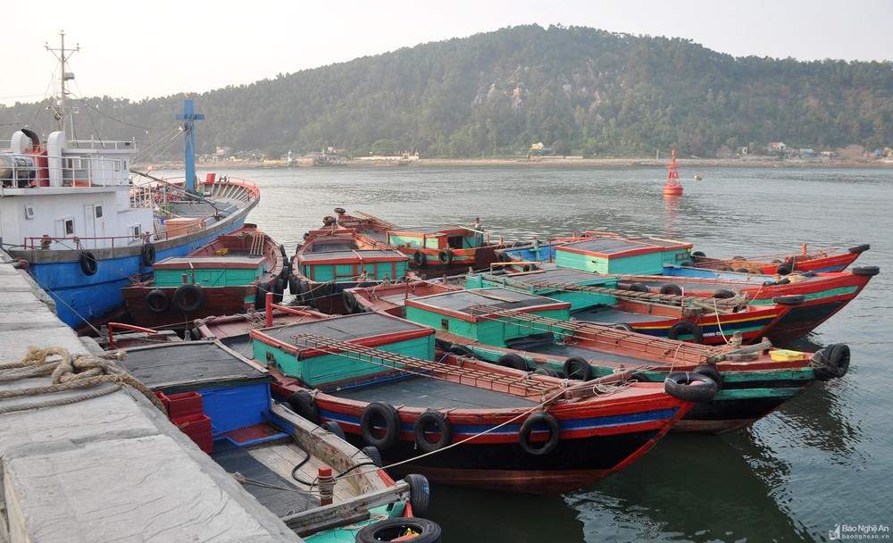 Nghệ An: Yêu cầu ngư dân không neo đậu tàu thuyền tại cảng Cửa Lò sau ngày 31/8/2022 ảnh 3