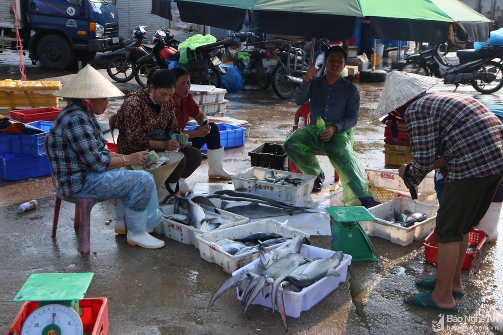 Tiểu thương Cảng cá Cửa Hội khẩn trương mua bán trước ngày bão số 4 đổ bộ ảnh 1