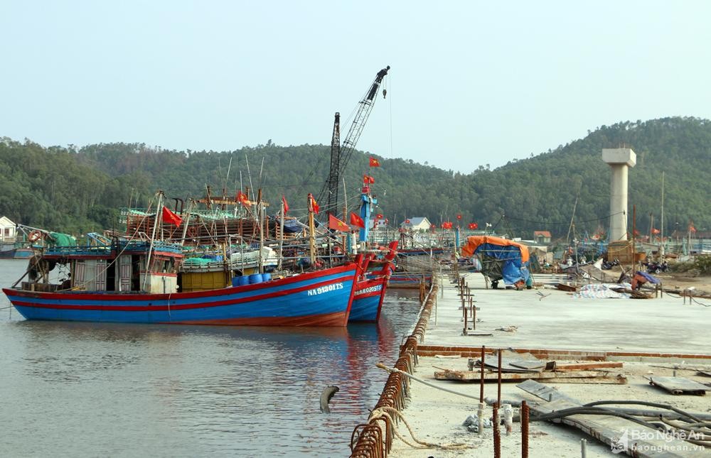 Nghệ An: Phát triển kinh tế biển chưa xứng với tiềm năng ảnh 5