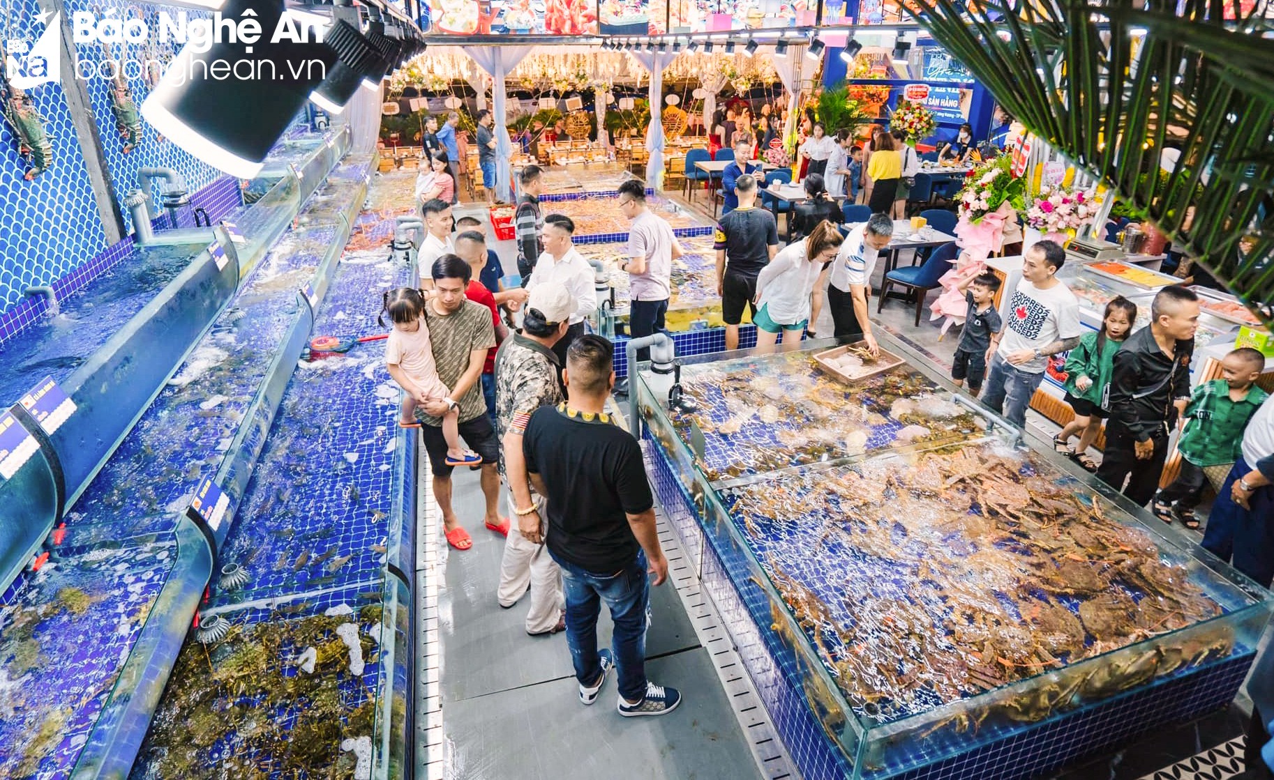 Nghệ An: Vào mùa du lịch, hải sản bắt đầu 'nhích' giá ảnh 5