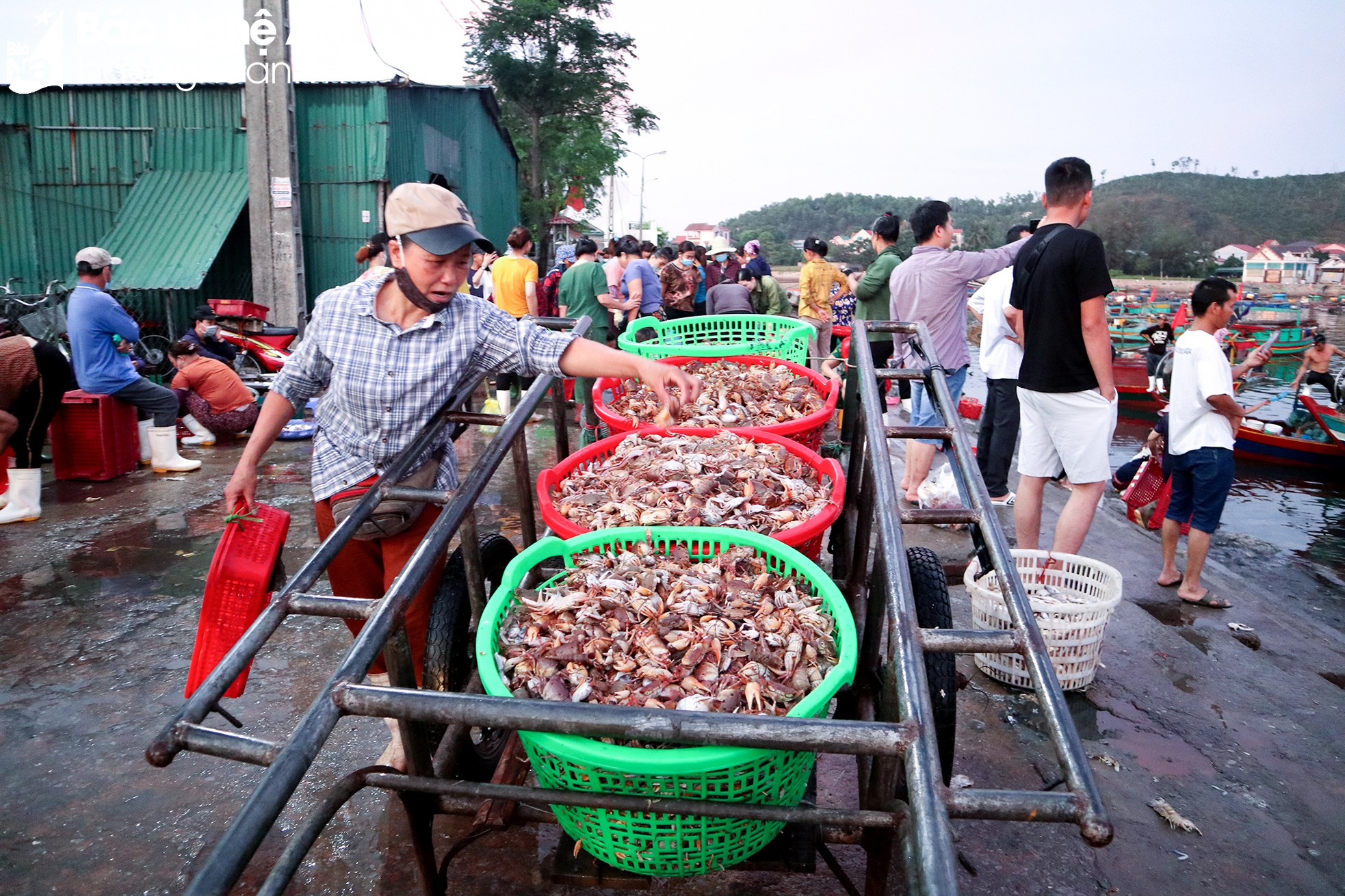 Nghệ An: Vào mùa du lịch, hải sản bắt đầu 'nhích' giá ảnh 2
