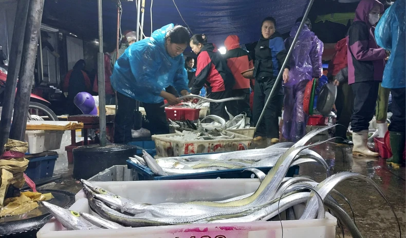 Nhộn nhịp chợ bến cá nổi tiếng ở Nghệ An lúc gà gáy ảnh 6