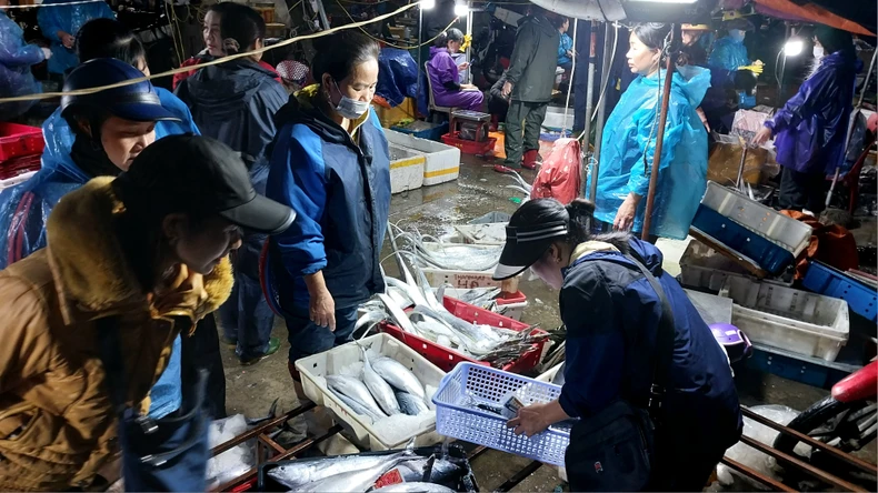 Nhộn nhịp chợ bến cá nổi tiếng ở Nghệ An lúc gà gáy ảnh 4