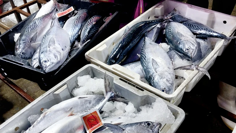Nhộn nhịp chợ bến cá nổi tiếng ở Nghệ An lúc gà gáy ảnh 2