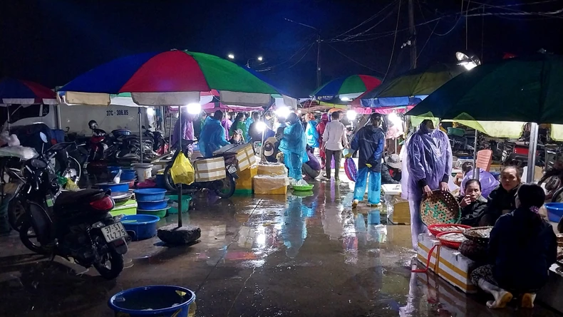 Nhộn nhịp chợ bến cá nổi tiếng ở Nghệ An lúc gà gáy ảnh 3