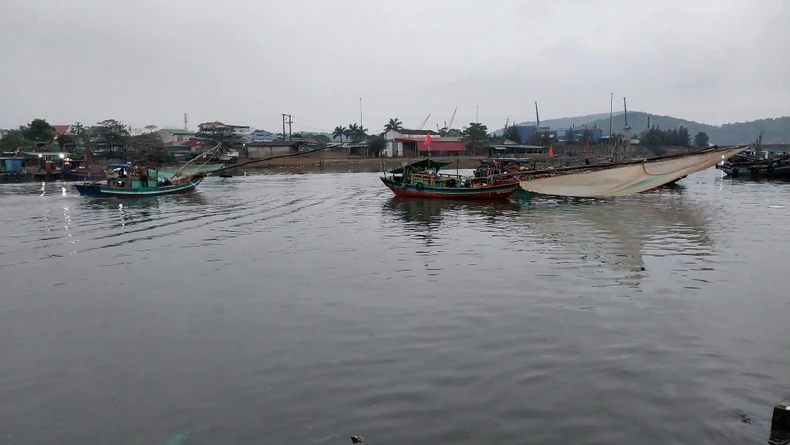 Nhộn nhịp chợ bến cá nổi tiếng ở Nghệ An lúc gà gáy ảnh 16