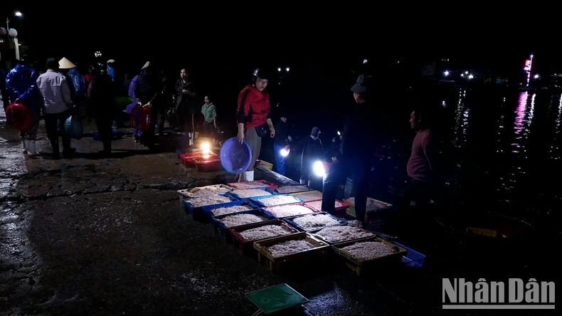 Nhộn nhịp chợ bến cá nổi tiếng ở Nghệ An lúc gà gáy ảnh 11