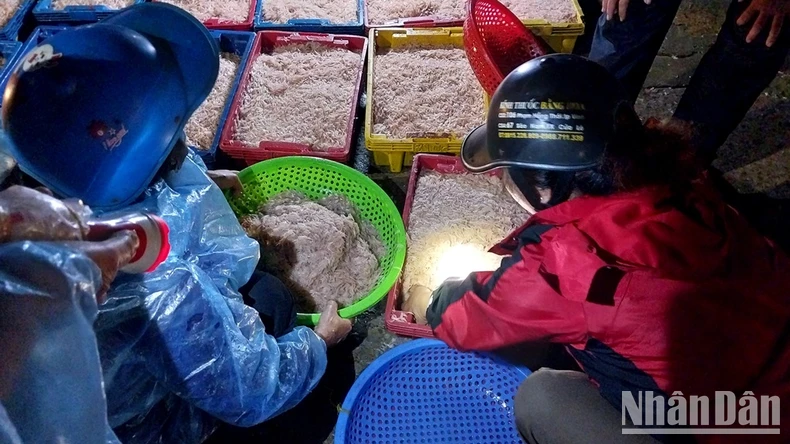 Nhộn nhịp chợ bến cá nổi tiếng ở Nghệ An lúc gà gáy ảnh 12