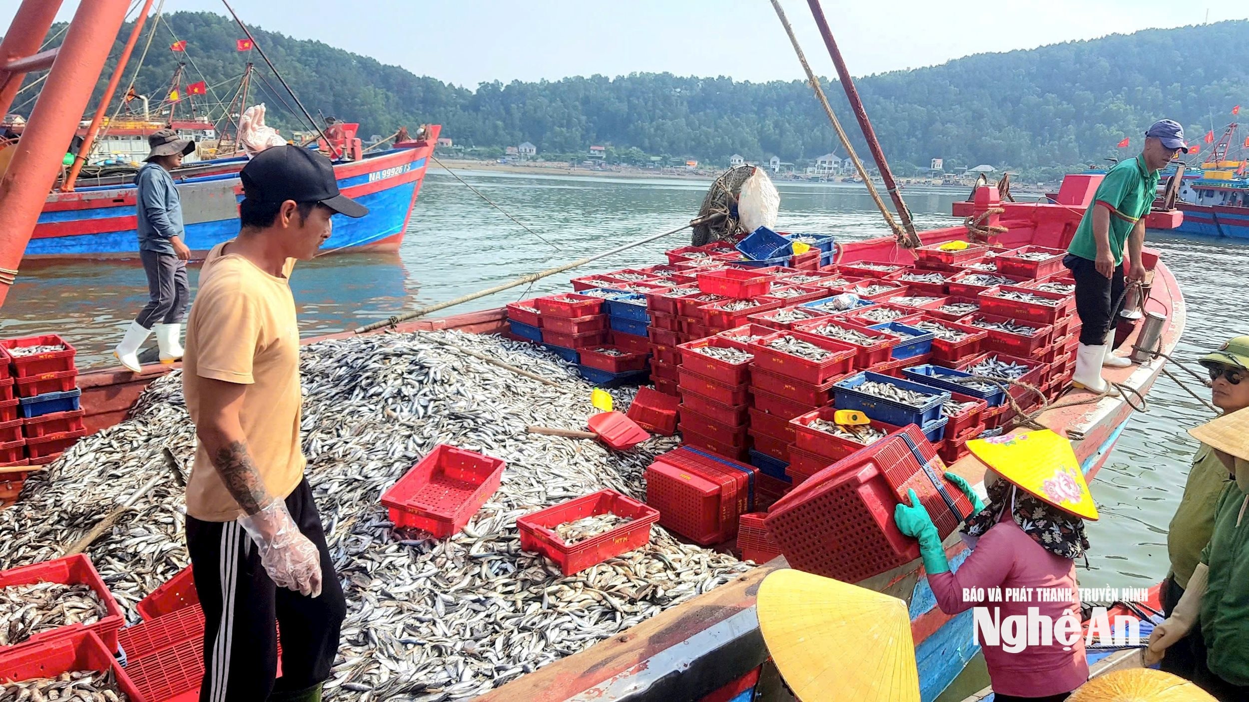 Ngư dân phường Cửa Lò khai thác hải sản